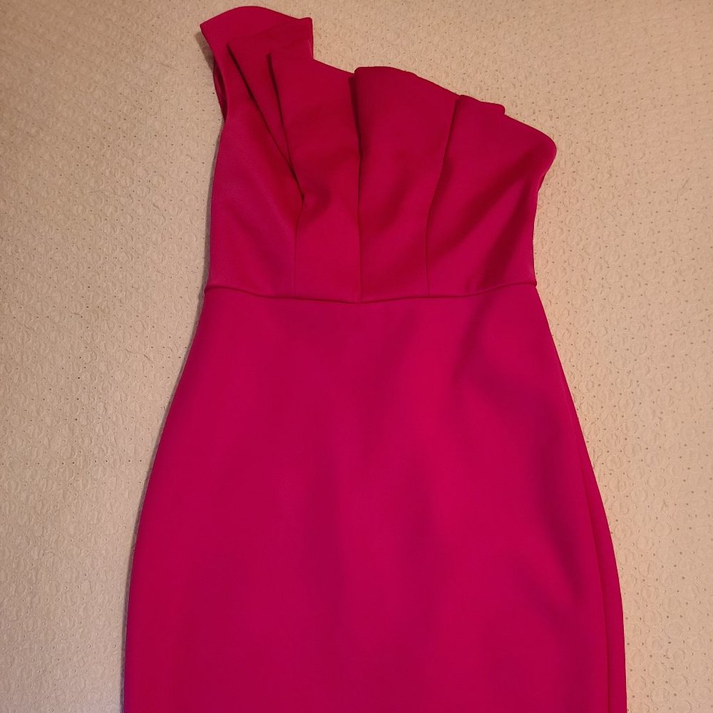 Ted Baker Fuchsia Cocktail Dress - tags still on!